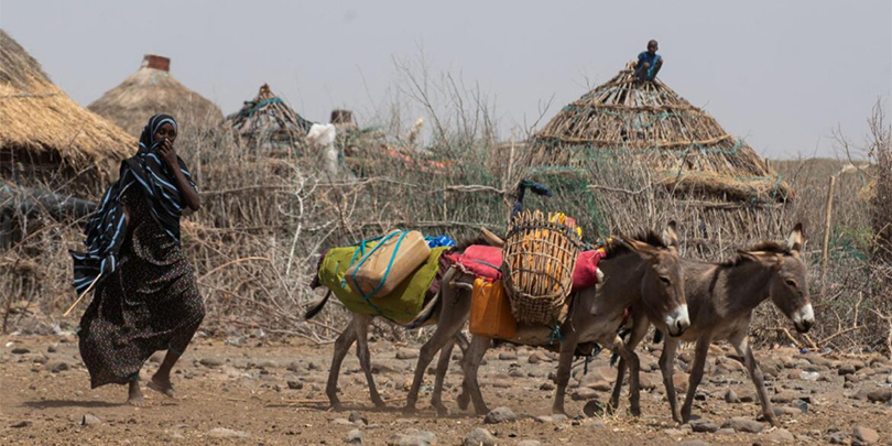 Catholic leaders call for Lenten prayers amid drought
