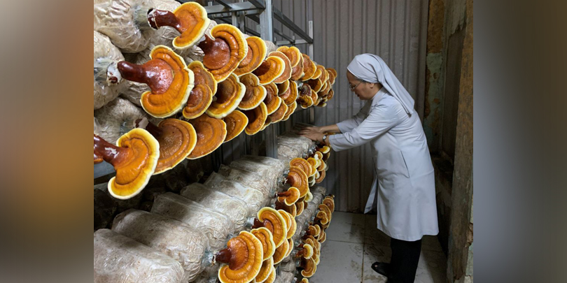 Cultivating a new form of ministry in Vietnam